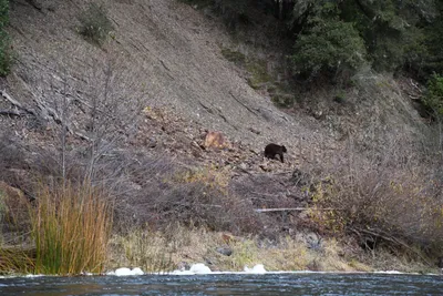 DSC_0200 (Large).JPG